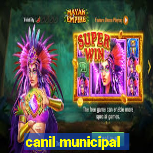 canil municipal